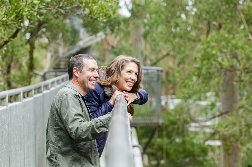 Otway Fly Treetop Walk 