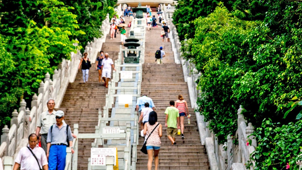 Show item 4 of 10. climbing up the stairs to see the Buddha statue in Lantau Island