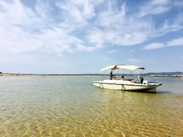 Eco Boat Tour Birds and nature of the Algarve’s Ria Formosa