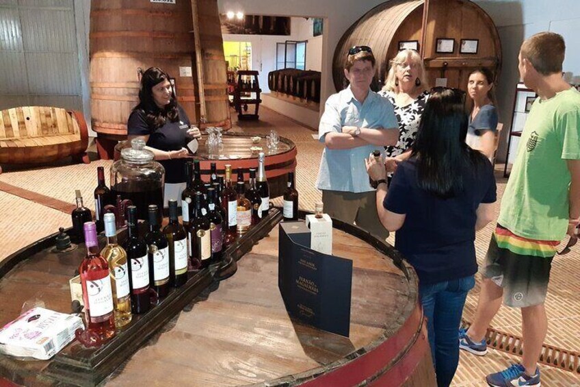 Douro Valley Private Tour with Sommelier