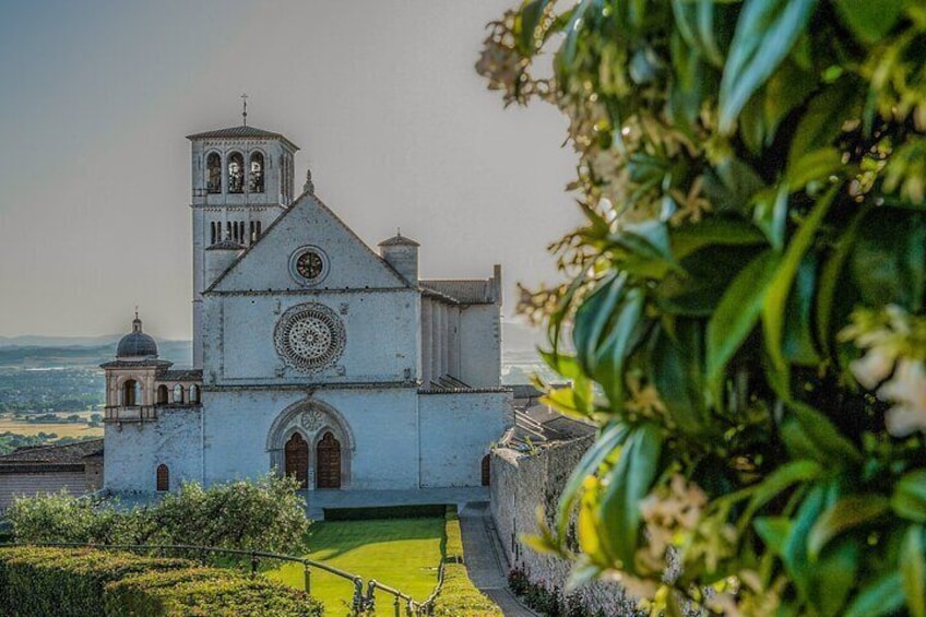 Basilica of Saint Francis Tour with official guide