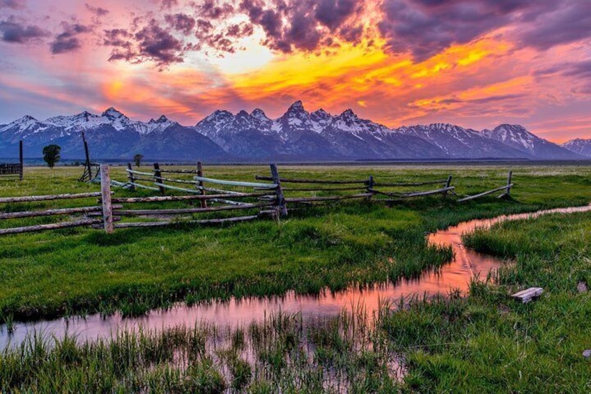 Luxury Private Half-Day Grand Teton National Park Tour