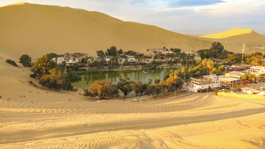 Full-Day Shared Tour to Ica City From Lima
