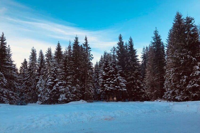 Winter beauty of the Chocholowska Valley