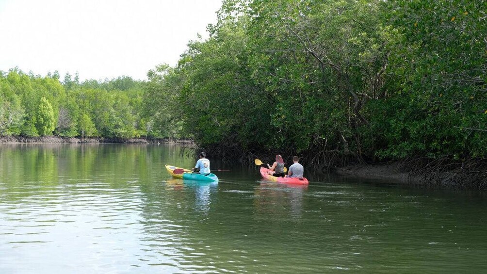 Sea Cave and Mangrove Forest Kayaking Tour From Koh Lanta
