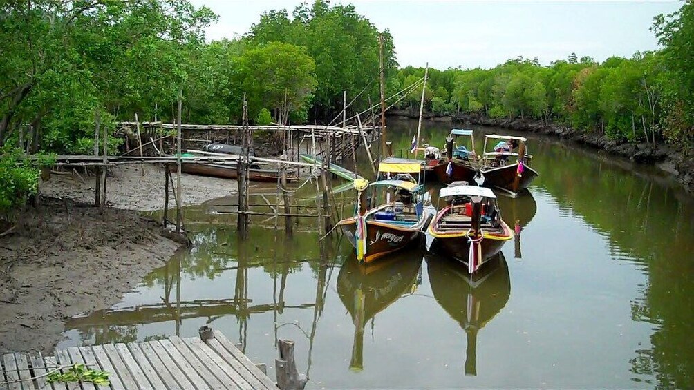 Half Day Mangrove Forest Kayaking Tour From Koh Lanta