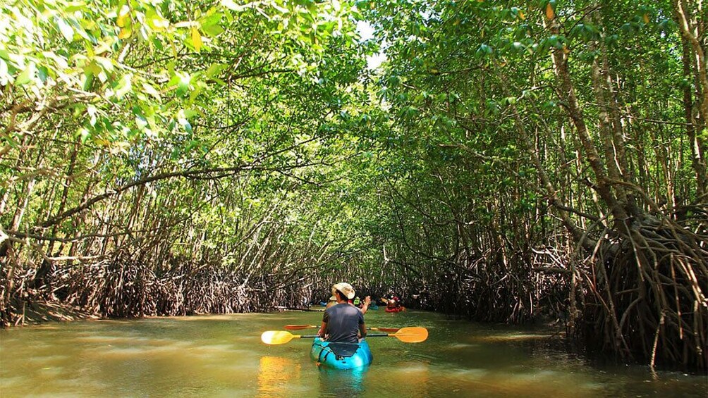 Half Day Mangrove Forest Kayaking Tour From Koh Lanta