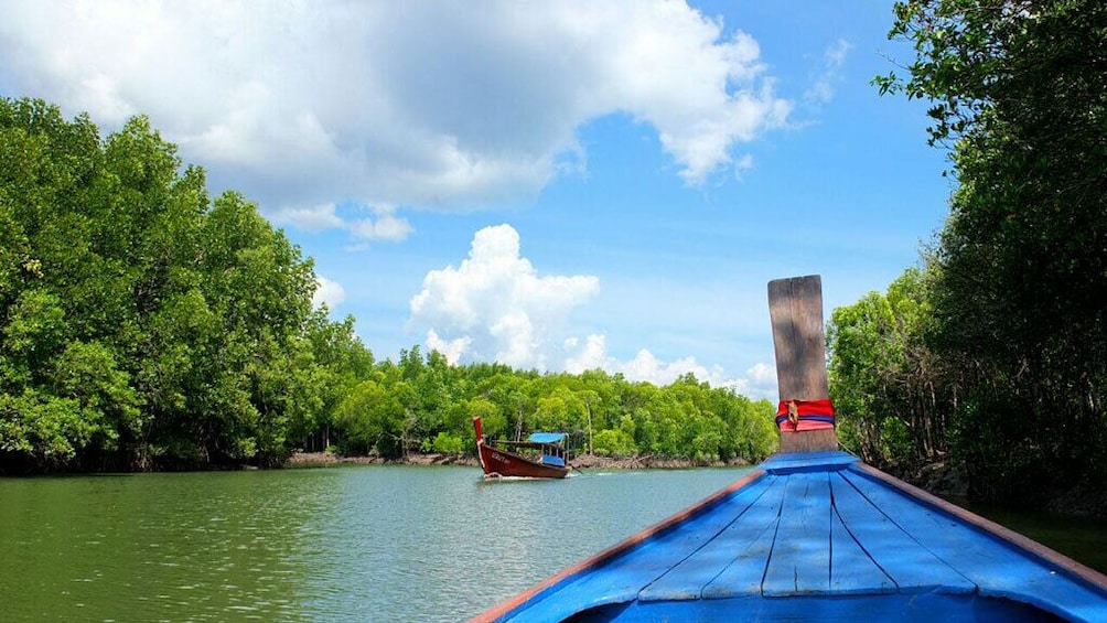 Lanta Mangroves Forest Tour with Thai Food Cooking with us