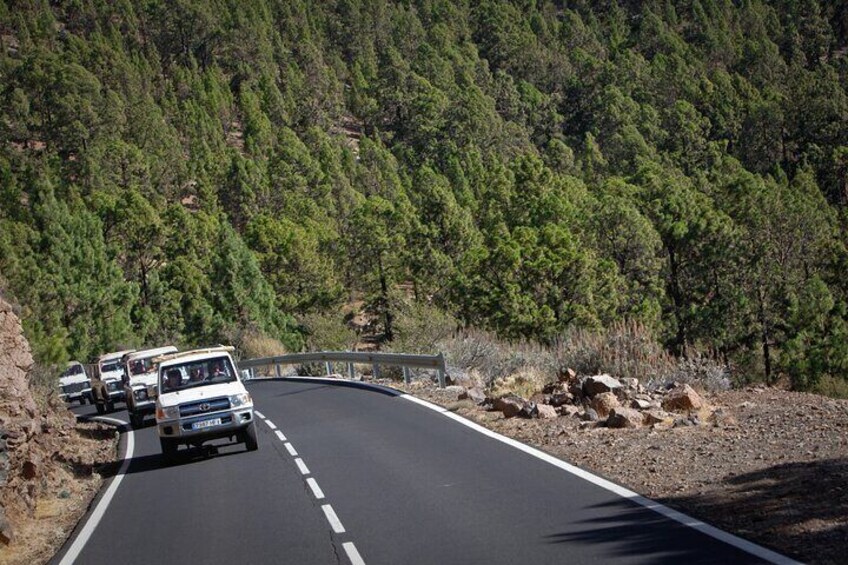 Jeep Safari to Teide and Masca