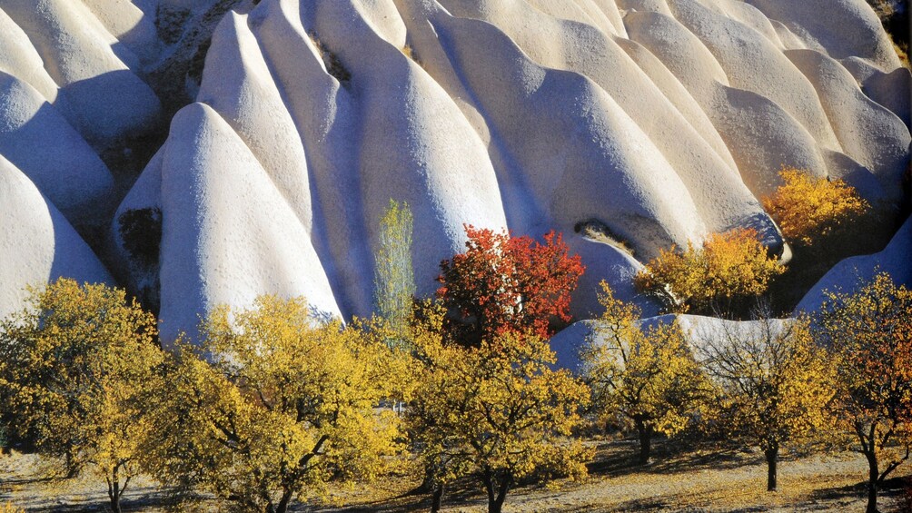 Cappadocia in 1 Day with Roundtrip Overnight Bus