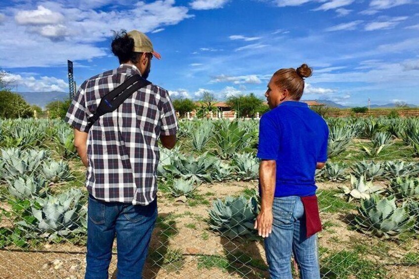 Gastronomy Experince with chef, Culture of Mezcal & Textiles. Private Tour.