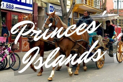 Princess Island Tour with Lunch & Ferry Ride