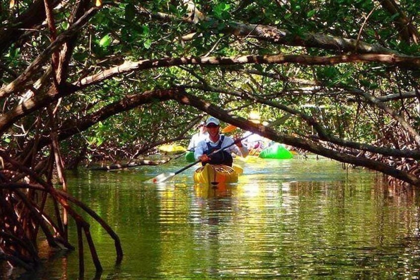 Fort Lauderdale’s Tropical Kayak Tour and Island Adventure