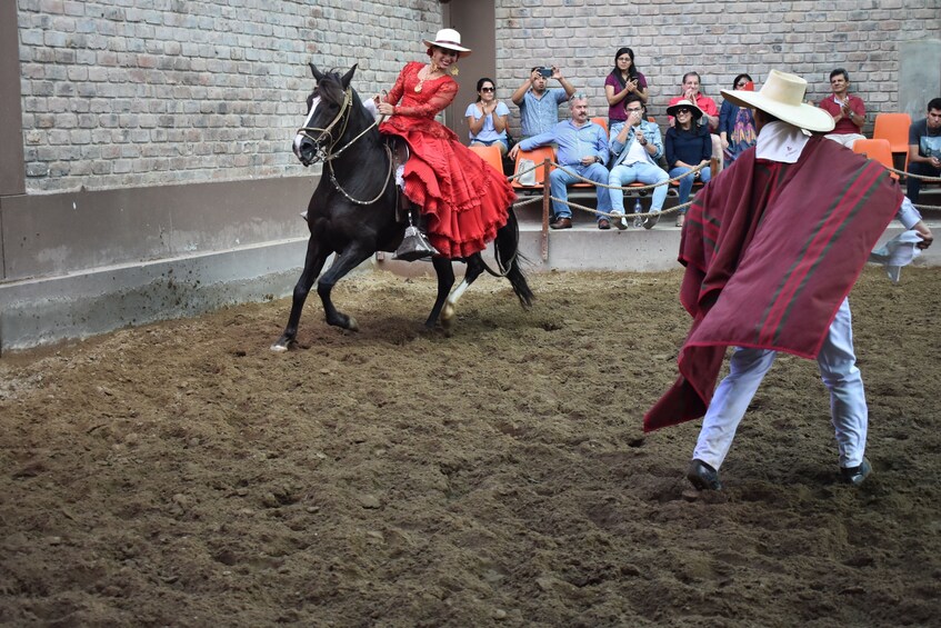 Full-Day Private tour to Pachacamac including lunch with Paso Horse show