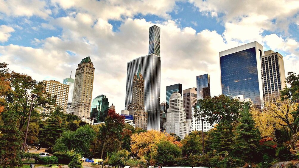 View of NY Skyline from Central Park.