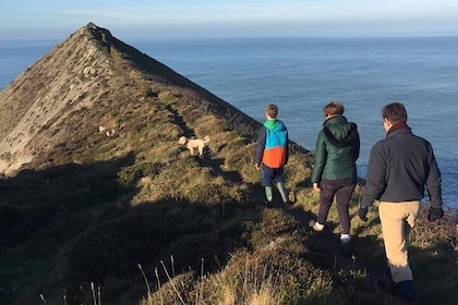 Guided walk on the remote and wild North Cornish coast