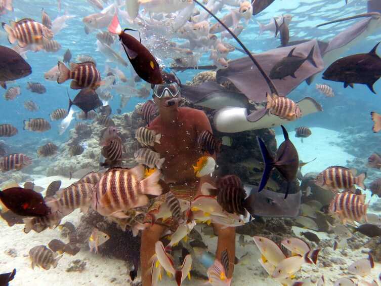 Snorkeling Tour at Moorea Lagoonarium