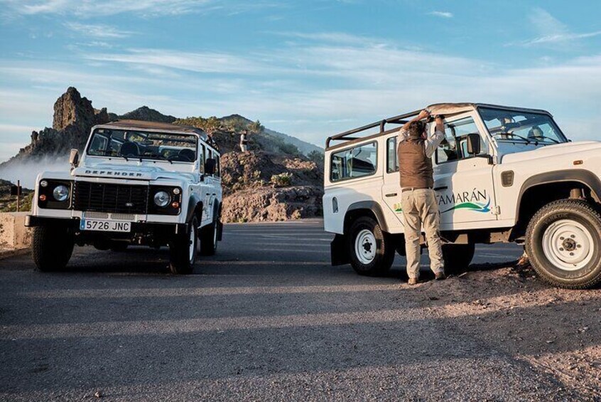 Jeep Safari at Half Day Teide