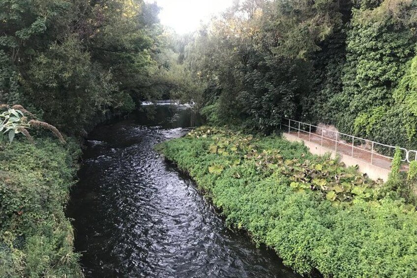 Rye River
