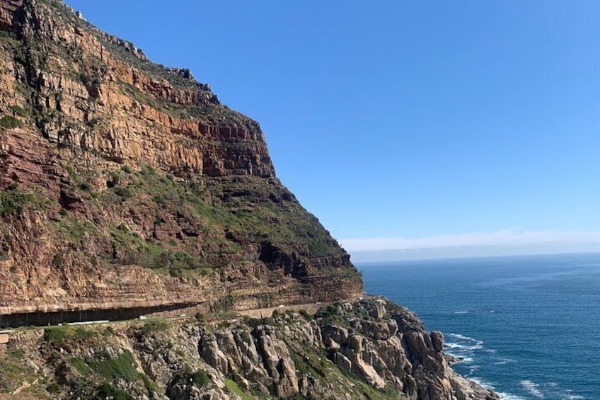 Boulders Beach Penguins and Seal Island Boat Trip Half Day Tour