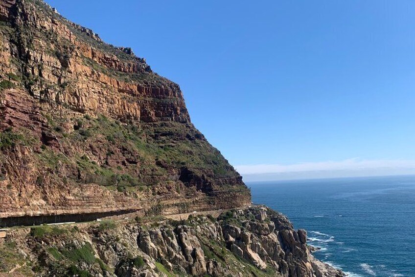 Boulders Beach Penguins and Seal Island Boat Trip Half Day Tour