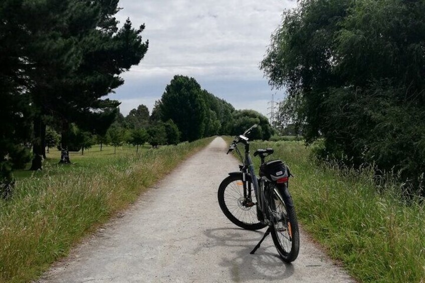 Hawke's Bay Trails