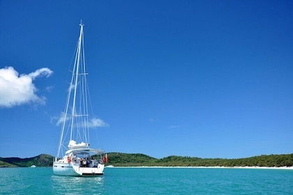 Sailing Curlew Escape on Moreton Bay