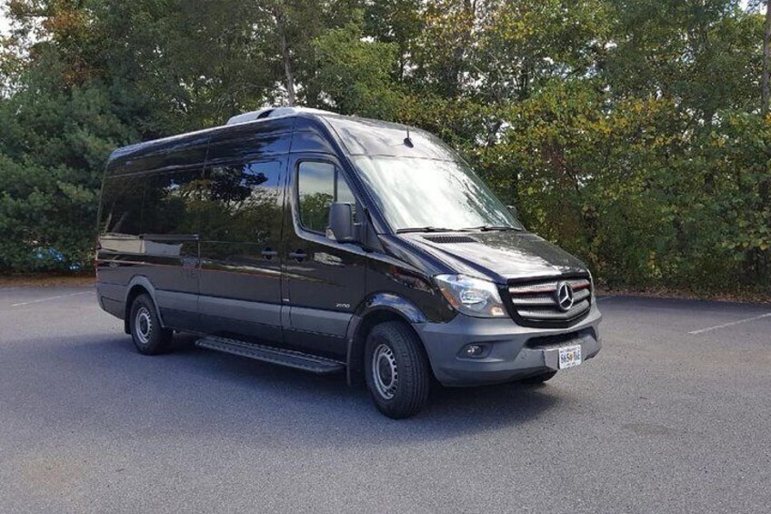 Private & Customized tour of Washington DC in Sprinter Van - 4 Hours 