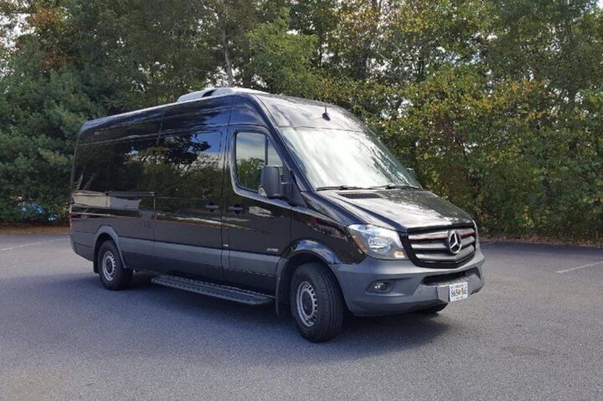 Private & Customized tour of Washington DC in Sprinter Van - 4 Hours 