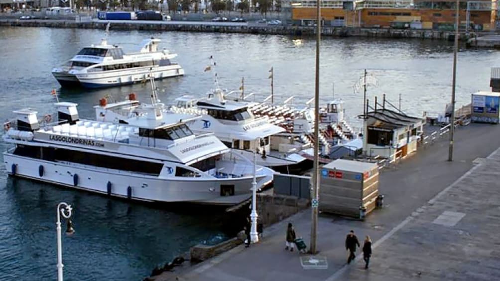 boats docked at the bay in Barcelona