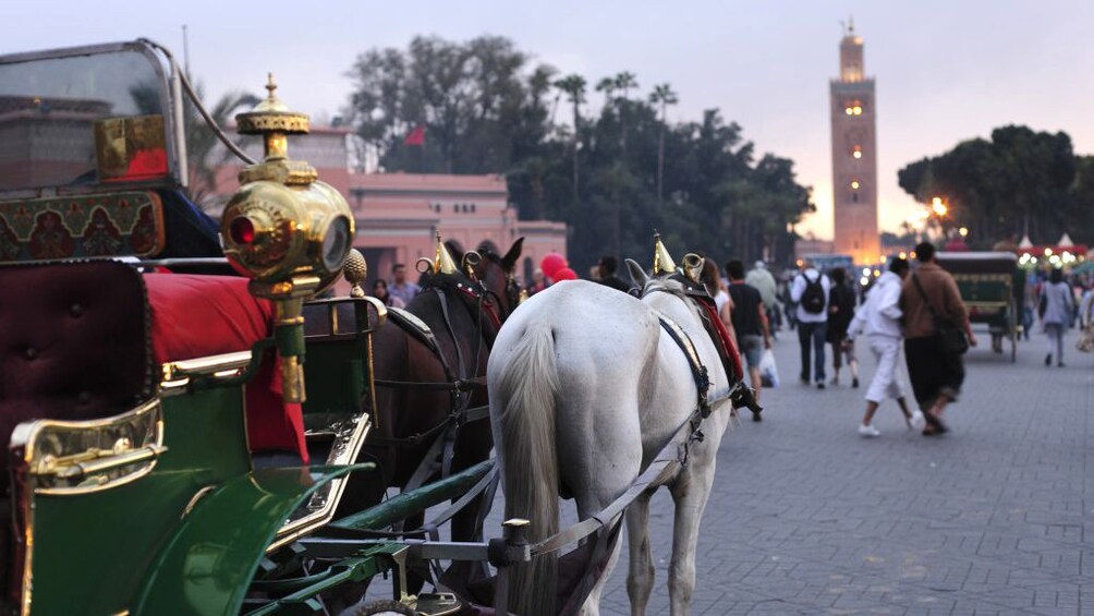 A Marrakesh horse drawn cab with a statue in the distance