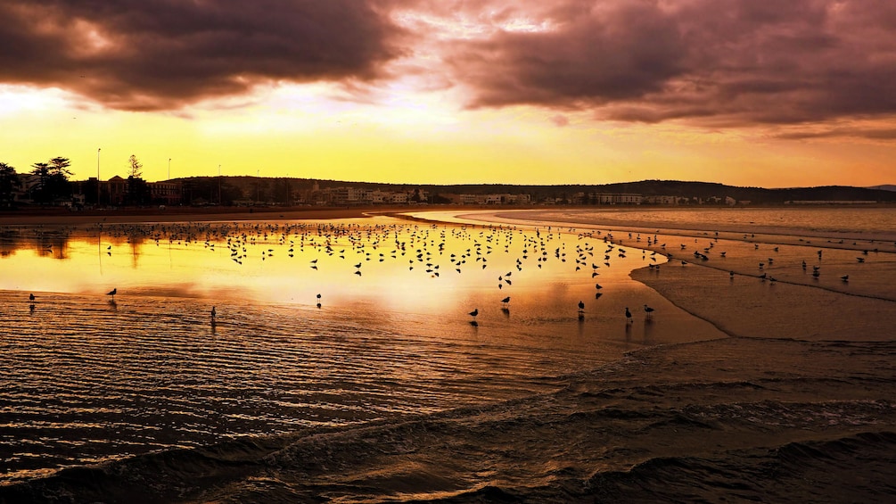 A beach in Essaouira, Morocco at sunset