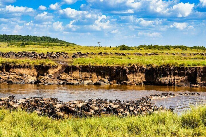 3 days group joining safari to Maasai Mara with a Land Cruiser Jeep
