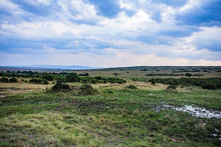 3 days group joining safari to Maasai Mara with a Land Cruiser Jeep