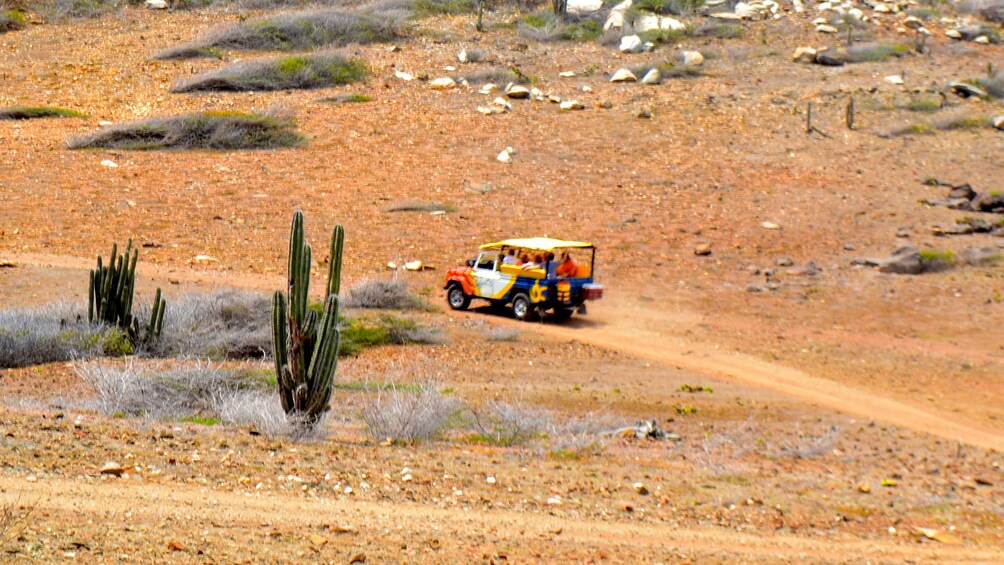 A jeep drives on a trail in Aruba 