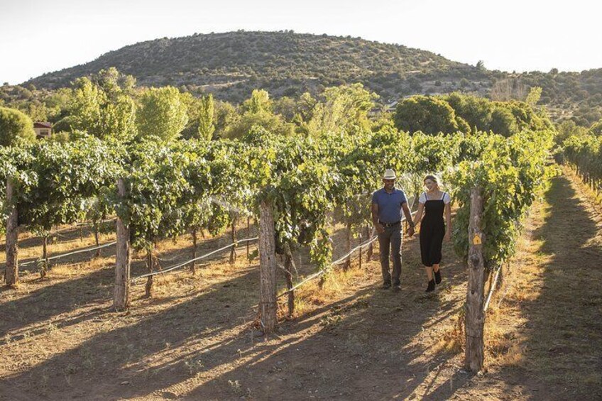 Bliss Wine Tours Sedona - Visit 3-4 Vineyards with AZ’s #1 Wine Tour Experience