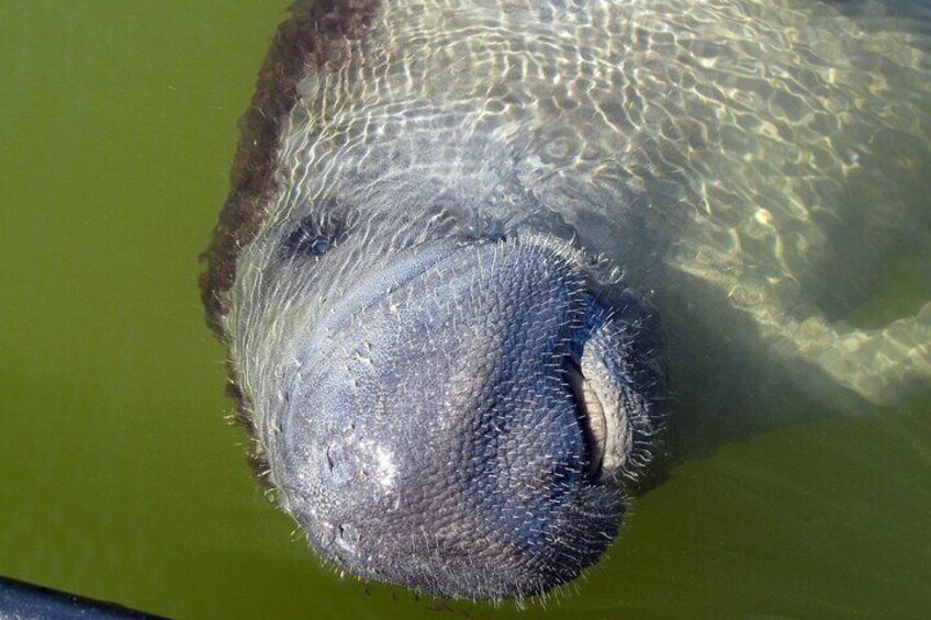 Everglades National Park Wildlife Boat Tour