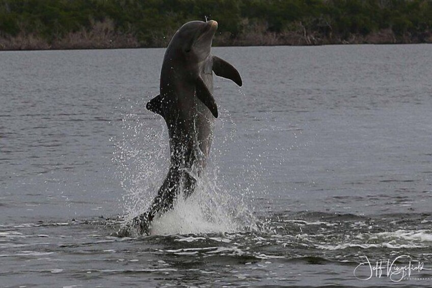 Everglades National Park Wildlife Boat Tour