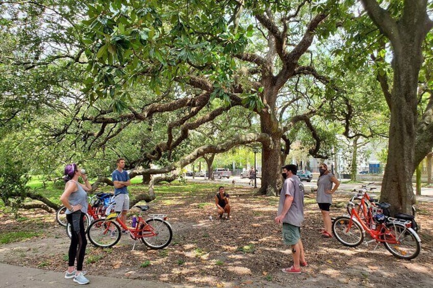 New Orleans Garden District and Cemetery Bike Tour