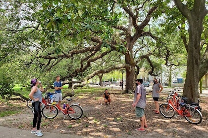 Radtour durch den New Orleans Garden District und den Friedhof