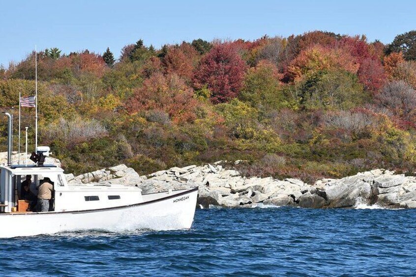 Colors Emerging on Cushing Island