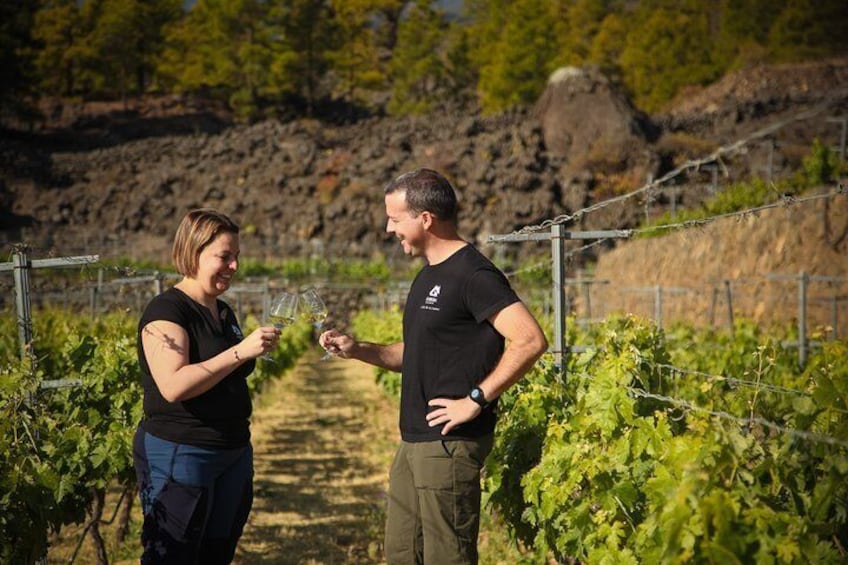 Tasting in the vineyard with volcanic lava in the background.