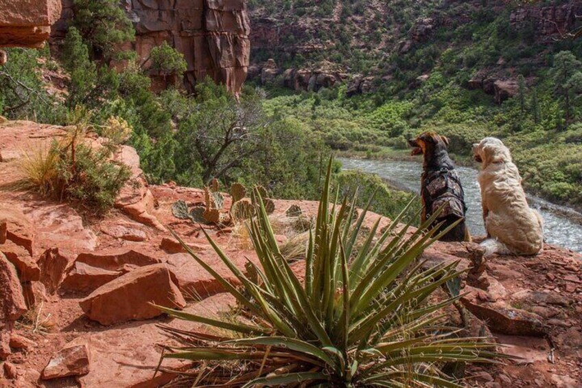 Half-Day Arkansas River - The Numbers Rafting Tour