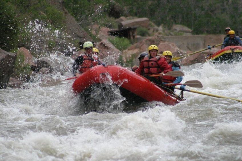 1-Day Arkansas River - Browns Canyon Rafting Trip
