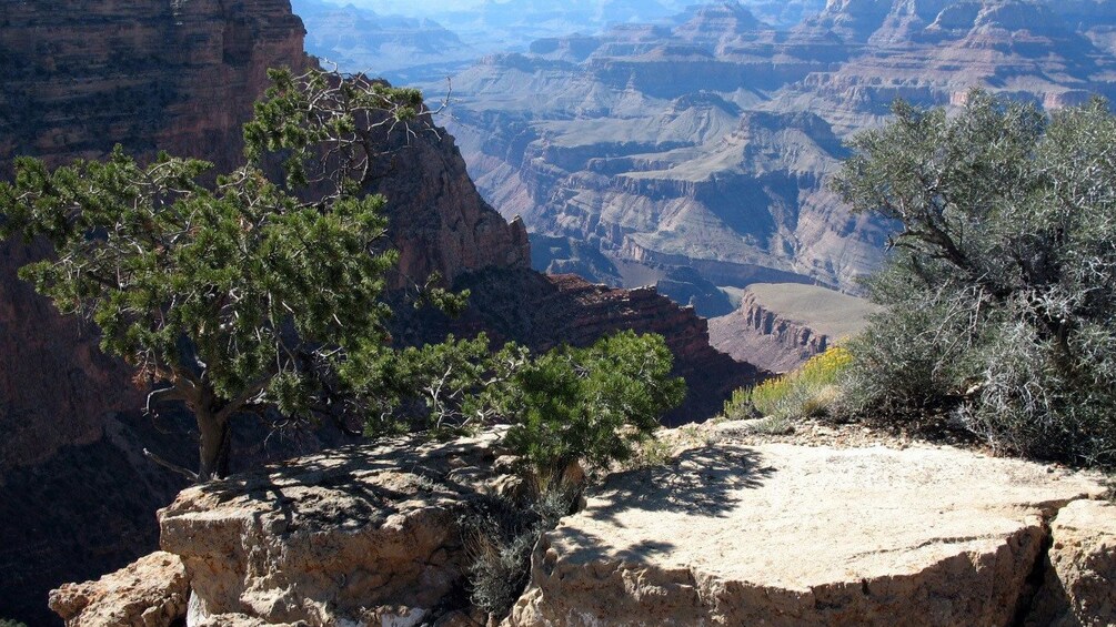 Looking out over the Grand Canyon