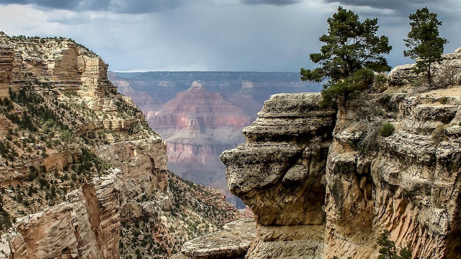 Trees and cliffs along the edge of the Grand Canyon