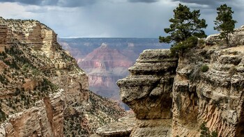 Grand Canyon Full-Day Tour