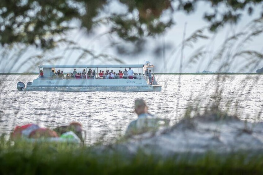 Jekyll Island Dolphin Tours