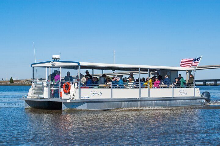 Jekyll Island Dolphin Tours