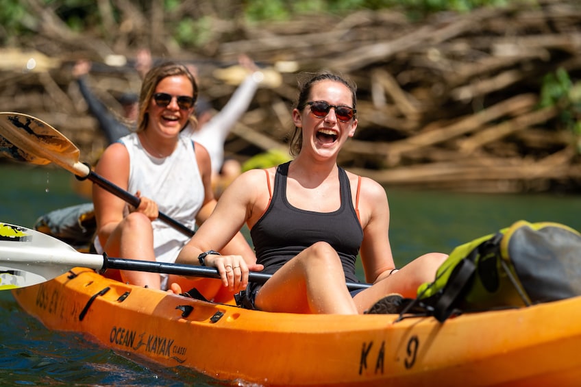 Wailua River kayak & hike to Secret Falls-5 hour tour